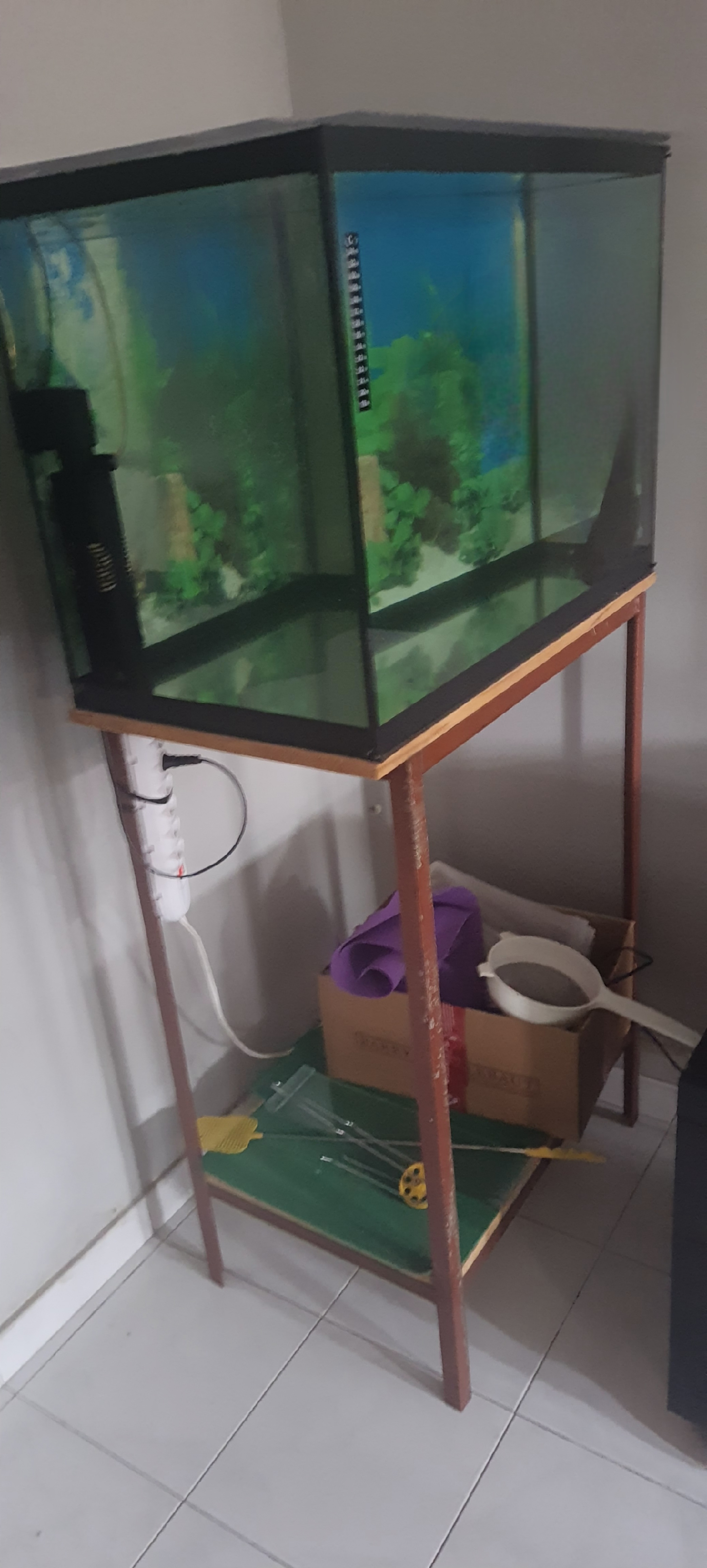 Portal Vendocão Aquário para peixes de 120litros São Paulo
